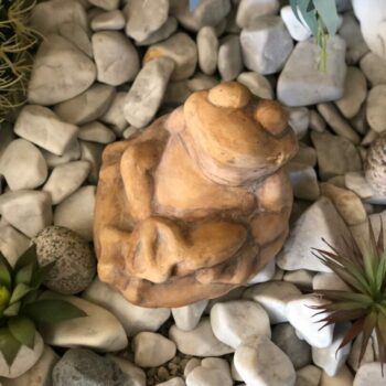 Statue ‘Grenouille assise’: S20