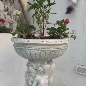 Bac à fleur femmes: BF019