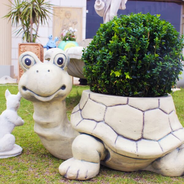 Bac à fleur tortue:BF26