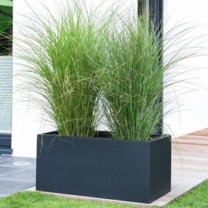 Jardinière rectangulaire :(BF041)