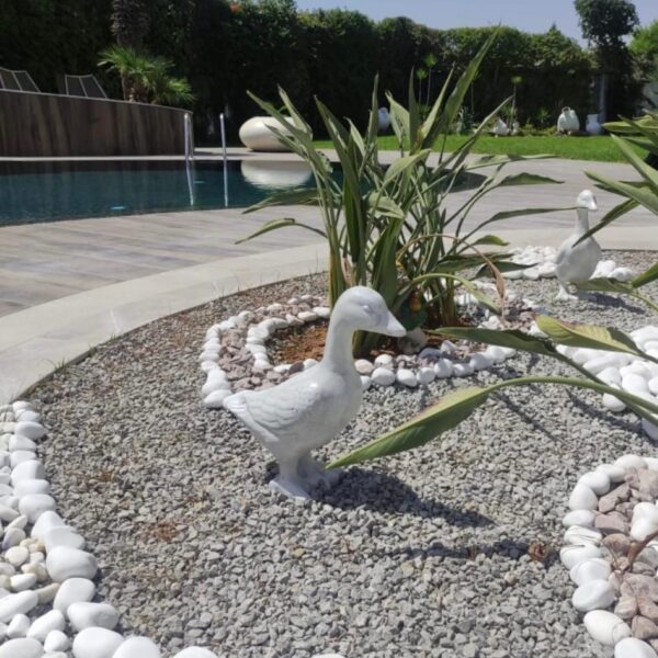 Statue ‘Canard faché’: S39