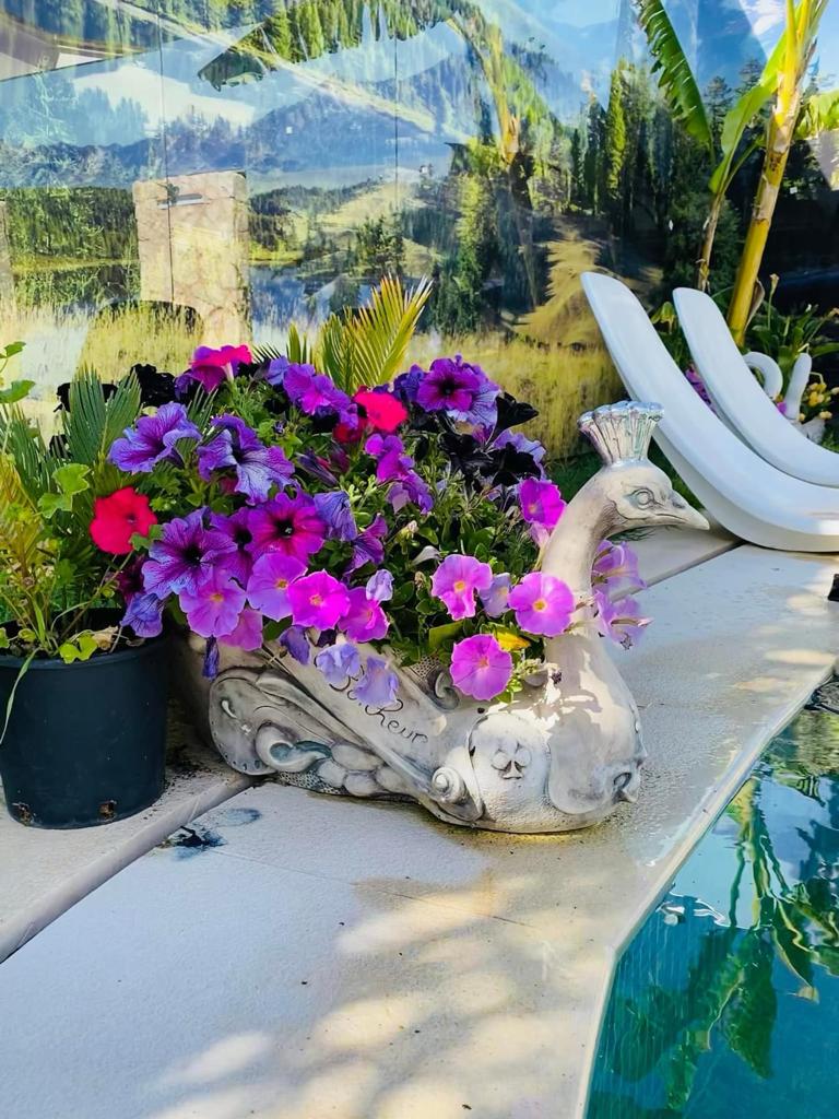 Harmonieux bac à fleurs paon:BF27 – Image 2