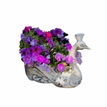 Harmonieux bac à fleurs paon:BF27