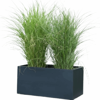 Jardinière rectangulaire :(BF041)