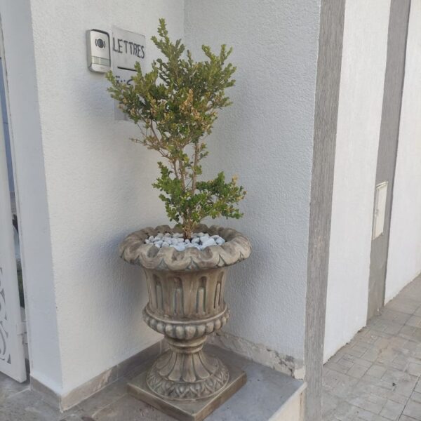 Bac a fleur forme de coupe :BF36