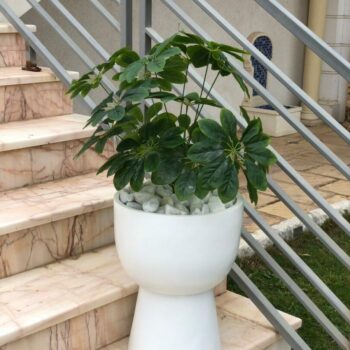 Merveilleux cache pot tabouret :CP40