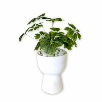 Merveilleux cache pot tabouret :CP40