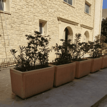 Bac à fleur rectangle en béton (BF003)