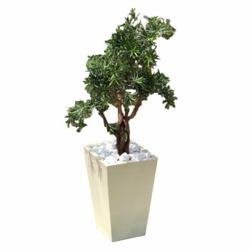 Élégant cache pot en forme de cône: CP30