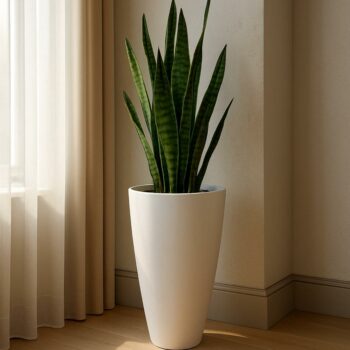 Magnifique cache pot conique : CP3