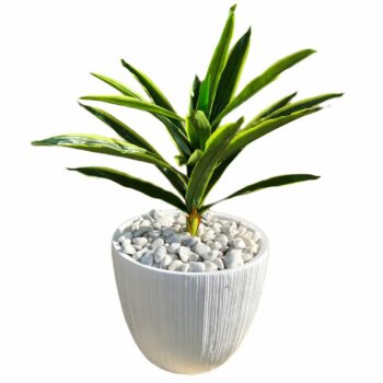 Harmonieux cache pot texturé :CP12