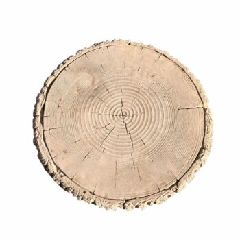 Pas chinois ‘Ceppo piu’:P6