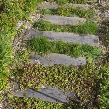 Pas chinois ‘Trave piu’:P5