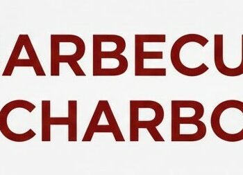 Barbecue à charbon