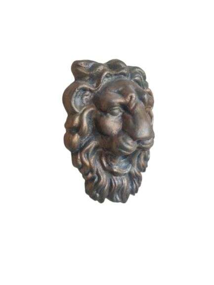 Tête De Lion MM (TL1) – Image 5