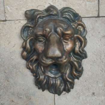 Tête De Lion MM (TL1)