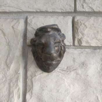 Tête de Lion PM (TL2.2)