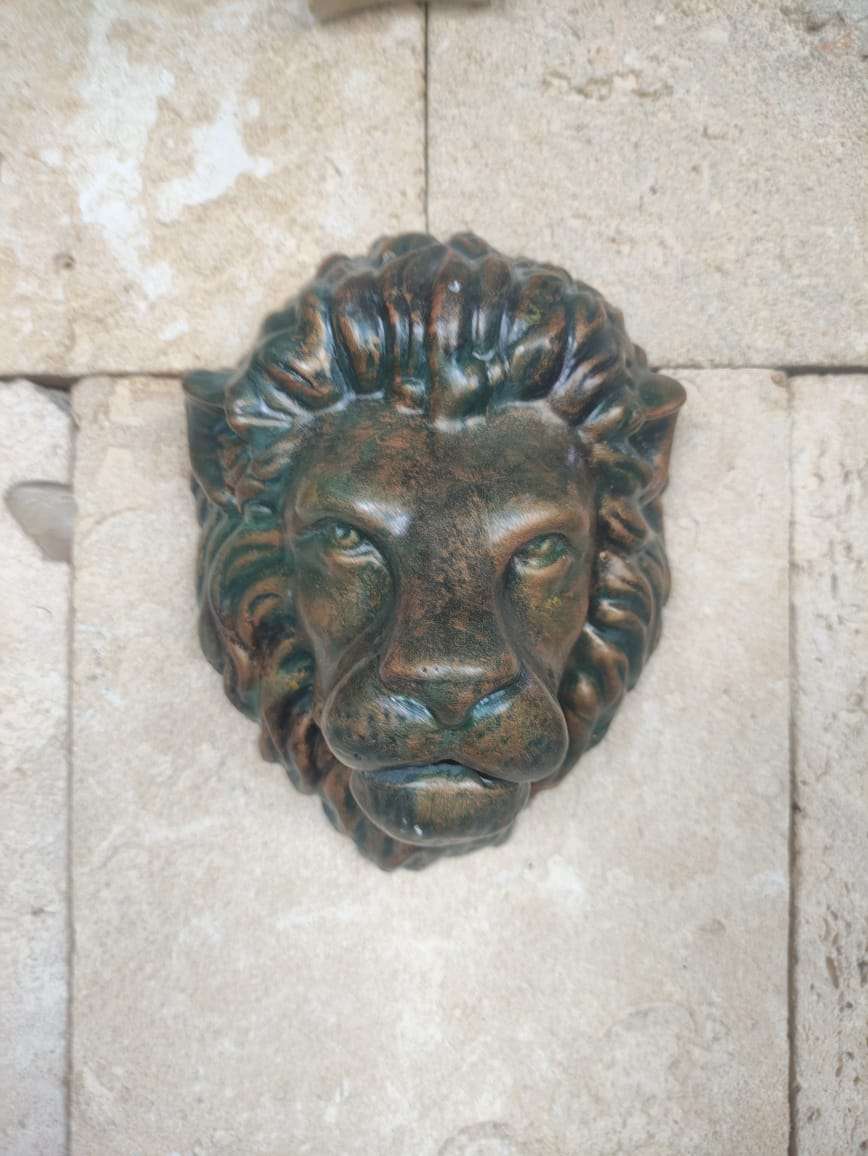 Tête de Lion (TL6) – Image 2