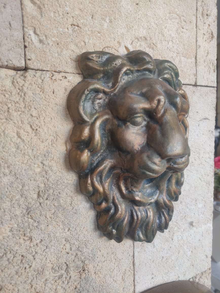 Tête De Lion MM (TL1) – Image 4