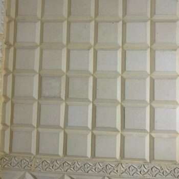 Frisse Folliage (FR101)