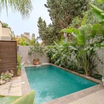 Oiseau S16 , Bac a fleur PAON bf27 Et Taurtue BF26 ( Diar Yasmine)