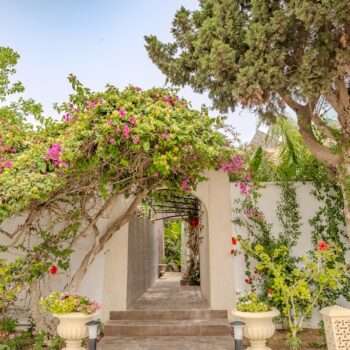 Bac a fleur BF014 , Pilier P2 Et Bac a fleur bf17 (Diar Yassmine)