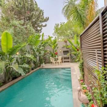 Oiseau S16 , Bac a fleur PAON bf27 Et Taurtue BF26 ( Diar Yasmine)