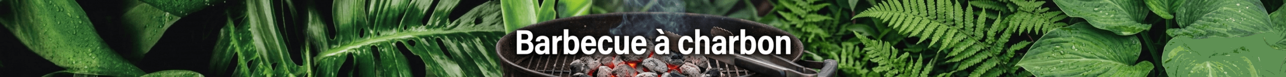 Barbecue à charbon