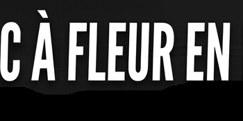 bac a fleur en résine